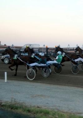 <b>TROTTO </b>Ultime corse 2011 ai Pini 