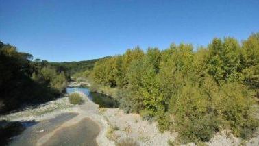 L’alveo del fiume Cecina ostruito dalla ghiaia e dalla vegetazione, a destra tronchi di albero rimasti addossati contro i piloni di un ponte