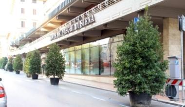 Alberelli in strada per il Natale: ma è polemica perché tolgono 59 posti auto in centro