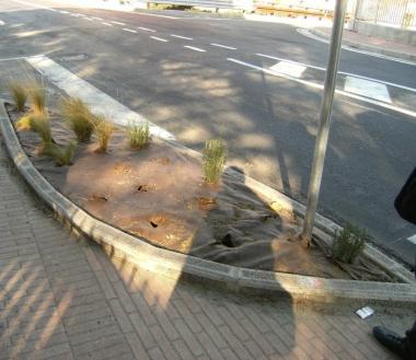 Furti di piante in via Don Minzoni