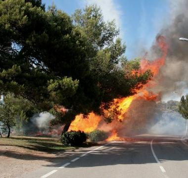 Lincendio alle Spianate 