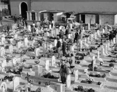 «Furto di soldi e vandalismi al cimitero»