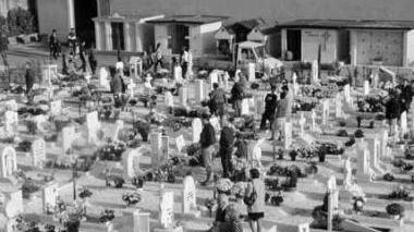 «Furto di soldi e vandalismi al cimitero»