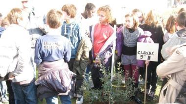 I bambini adottano gli alberi Successo della festa di Legambiente