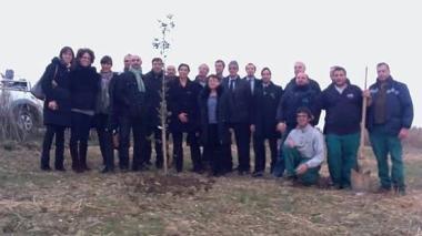 Piantati mille alberi Serviranno ad abbattere i gas ad effetto serra