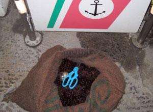 Sequestrati 400 ricci di mare destinati al commercio