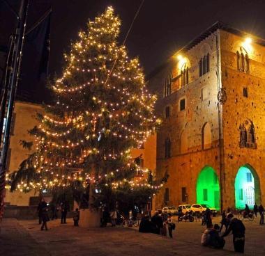 Accesi la luminaria in centro e il grande abete in piazza