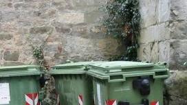 I cassonetti in piazzetta Arcangeli