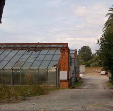 Le vecchie serre nellarea ex Galeotti sulla via Provinciale  