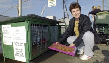 La signora dei gatti di Marina: ogni giorno sfama due colonie feline