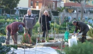 L'orto? A Capannori si potrà fare in tre terreni del Comune