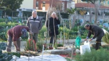 L'orto? A Capannori si potrà fare in tre terreni del Comune