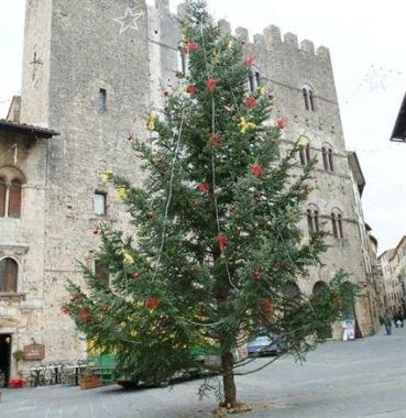 Appuntamenti sotto l'albero