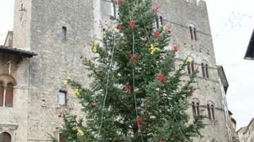 Appuntamenti sotto l'albero