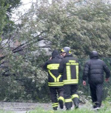 Intervento per rimuovere un albero abbattuto 