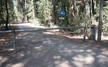 A fianco il parco della Versiliana sotto lingresso della Procura della Repubblica a Lucca 