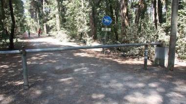 A fianco il parco della Versiliana sotto l’ingresso della Procura della Repubblica a Lucca