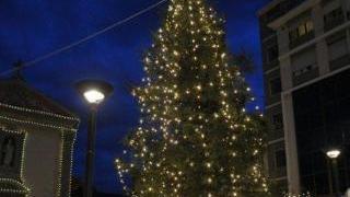 L’albero in piazza del Duomo