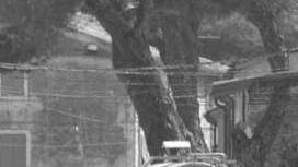 La Tenuta