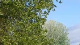 <b>FOSSO. </b>Il Silcia sarà deviato per far posto al parcheggio dell’ospedale