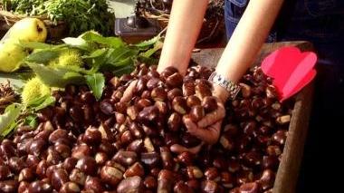 Castagne protagoniste della festa