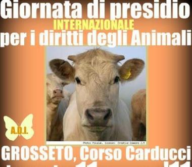 Un giorno dedicato agli animali