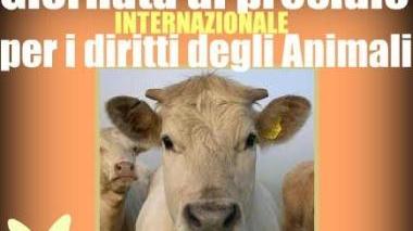 Un giorno dedicato agli animali