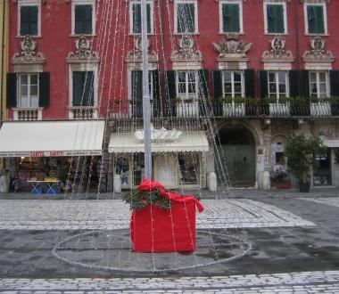 Lalbero di Natale in piazza Alberica  