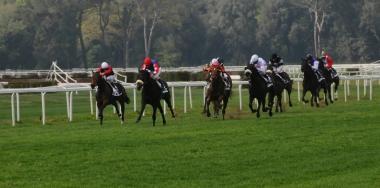 Giornata super, 128 cavalli al via