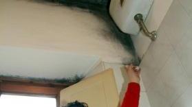 A destra Nadia Giglioni mostra la muffa sulla parete del bagno
