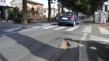 Ecco un piano anti-radici per il viale della Repubblica