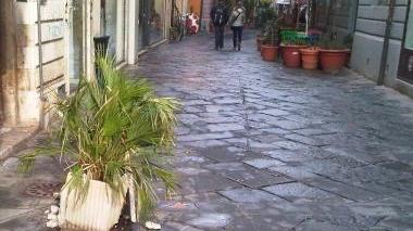 Fioriere spaccate e cassonetti rovesciati