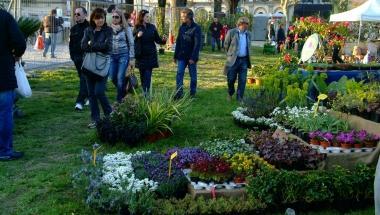 Biglietto unico per Orto botanico e torre Guinigi