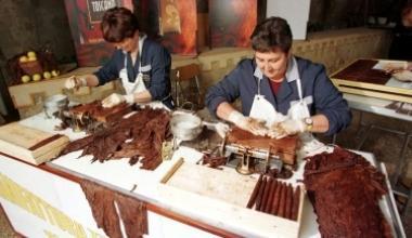 Sigaro toscano, accordo per l'acquisto del tabacco
