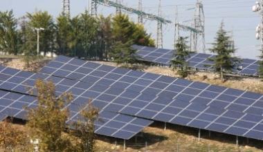 Nessuna offerta per i tetti fotovoltaici a Monsummano