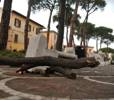 La panchina e lalbero danneggiati 