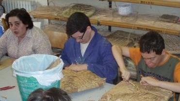 I ragazzi della coop al lavoro
