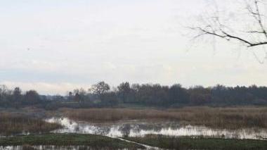 La zona allagata