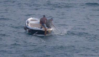 Cinghiale braccato fino al mare individuati i due cacciatori