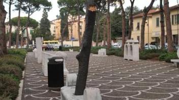 La panchina artistica di piazza Garibaldi danneggiata dai vandali