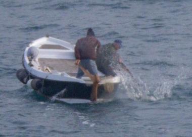 <b>CACCIA SELVAGGIA.</b> Uccidono un cinghiale sparando da una barca 