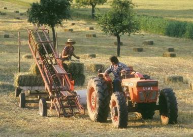 Un contadino al lavoro  