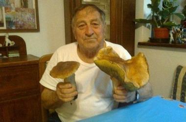 Un altro porcino da record sarà un Natale con i funghi