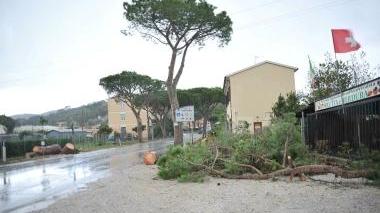 L'isola spazzata dal forte vento