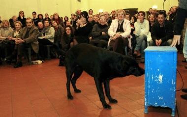 Lul&ugrave; durante le dimostrazioni di abilit&agrave; tenute davanti al pubblico al teatro San Carlo 
