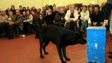 Lulù durante le dimostrazioni di abilità tenute davanti al pubblico al teatro San Carlo