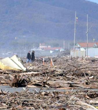 Litorale invaso da tronchi e rifiuti