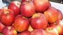 Lezione in classe per 3500 bambini sul mangiare sano