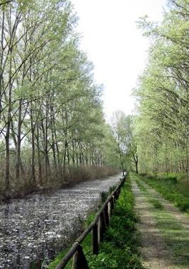 Il Padule di Fucecchio 
