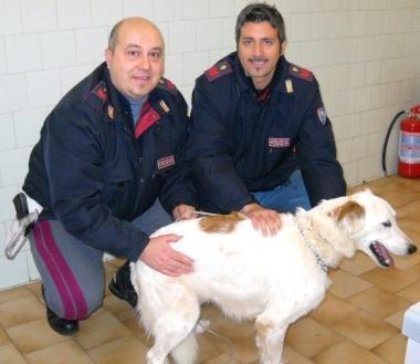 I due agenti della Stradale con il cane salvato
